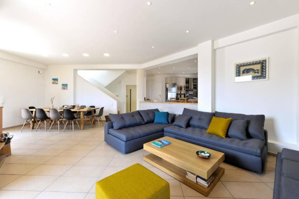 Wonderful Eco Friendly Villa Augustine Ampelo Εξωτερικό φωτογραφία